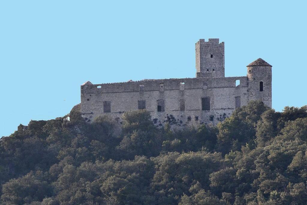 Anduze Gite Les Pins Au "Petit Clos Des Cigales" Massillargues-Attuech Dış mekan fotoğraf