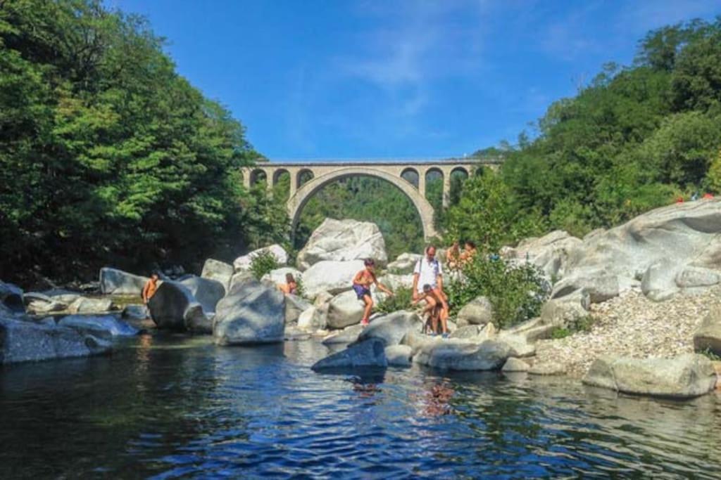 Anduze Gite Les Pins Au "Petit Clos Des Cigales" Massillargues-Attuech Dış mekan fotoğraf
